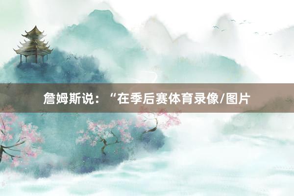 詹姆斯说：“在季后赛体育录像/图片