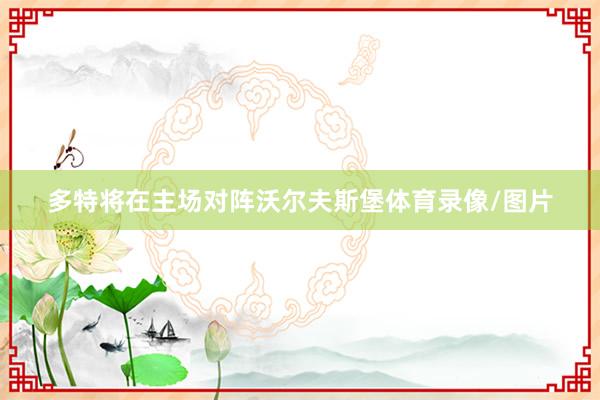 多特将在主场对阵沃尔夫斯堡体育录像/图片