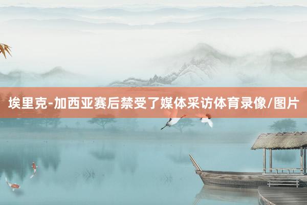 埃里克-加西亚赛后禁受了媒体采访体育录像/图片