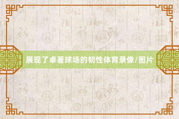 展现了卓著球场的韧性体育录像/图片