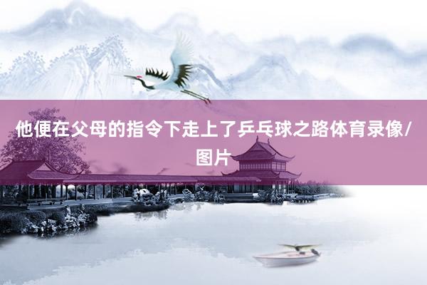 他便在父母的指令下走上了乒乓球之路体育录像/图片