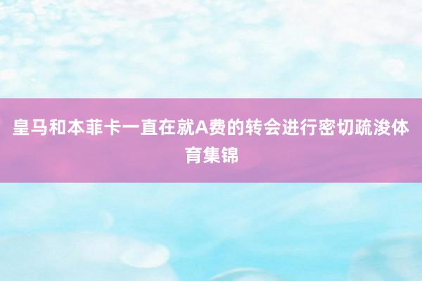 皇马和本菲卡一直在就A费的转会进行密切疏浚体育集锦