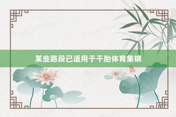 某些路段已适用于干胎体育集锦