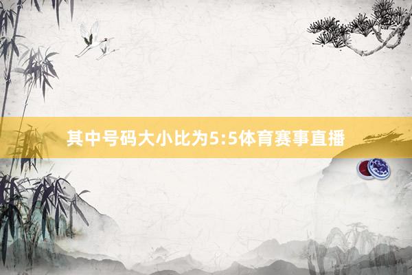 其中号码大小比为5:5体育赛事直播