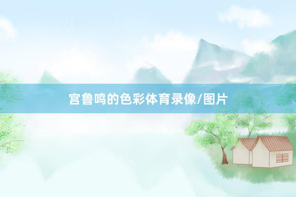 宫鲁鸣的色彩体育录像/图片