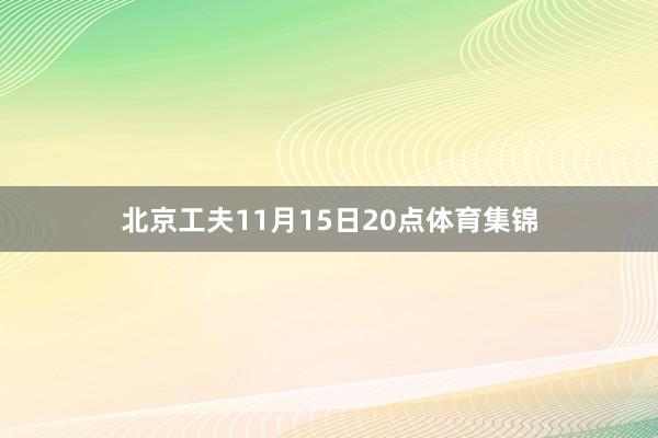北京工夫11月15日20点体育集锦