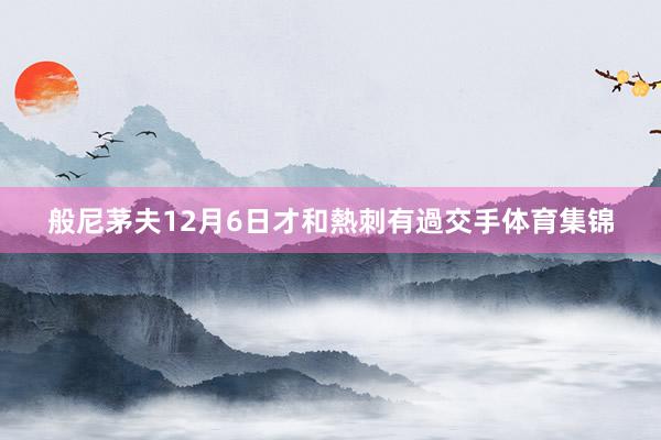 般尼茅夫12月6日才和熱刺有過交手体育集锦