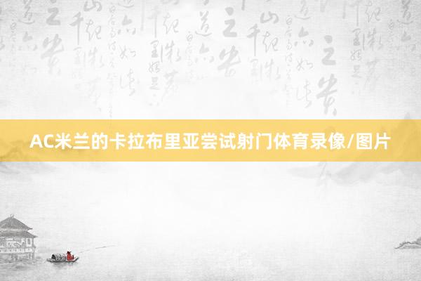 AC米兰的卡拉布里亚尝试射门体育录像/图片