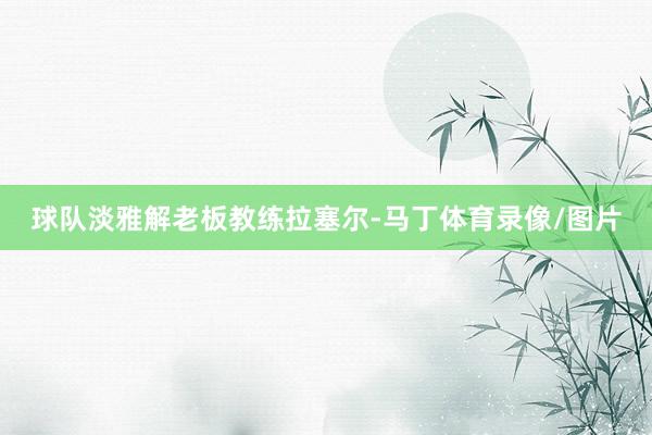 球队淡雅解老板教练拉塞尔-马丁体育录像/图片