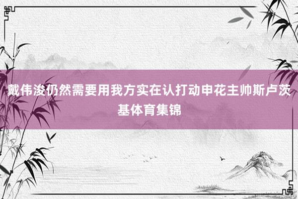 戴伟浚仍然需要用我方实在认打动申花主帅斯卢茨基体育集锦
