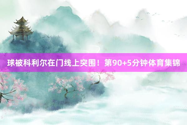 球被科利尔在门线上突围! 第90+5分钟体育集锦