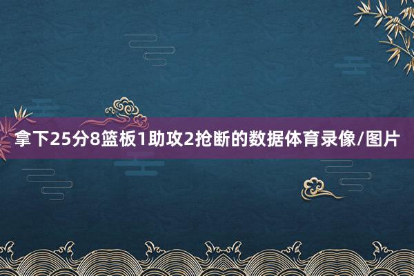 拿下25分8篮板1助攻2抢断的数据体育录像/图片